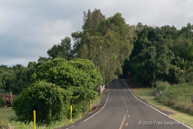 20091101_153527 D300.jpg - Akoni Pule Highway, Hawaii